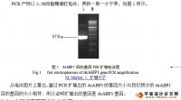 ϽABP1cDNA¡E6ӵ鹹