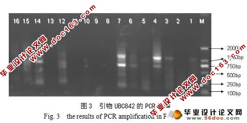 ISSR-PCRŻɸѡ