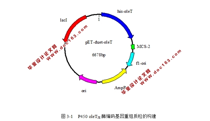 P450 oleTJE߻֬ϳα-ϩо