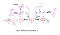 2-苄基苯并噁唑类化合物的合成研究